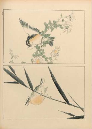 AJE [Oiseaux et plantes. École de Shijo]