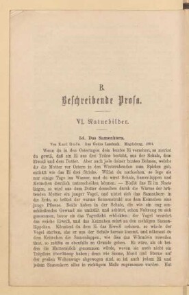VI. Naturbilder