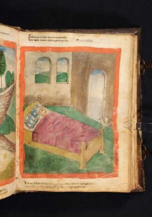Mariensymbol: ein Kranker im Bett, auf dem der Vogel Charadrius sitzt