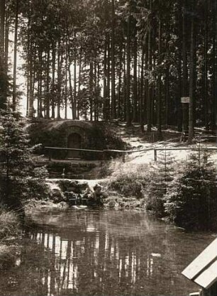 Warnsdorfer Quelle im Tharandter Wald