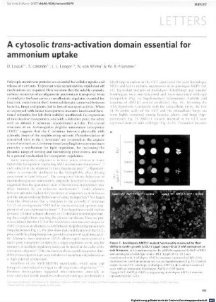 A cytosolic trans-activation domain essential for ammonium uptake