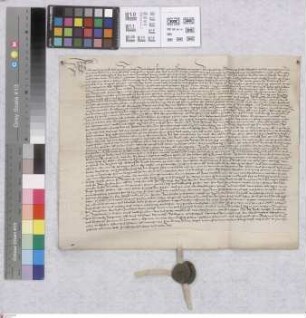 Crumstadt: Revers der Gemeinde Crumstadt über die vom St. Viktorstift vor Mainz bestandene Weide genannt der Buchtung
