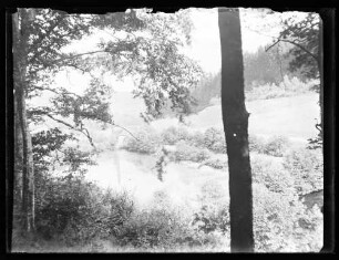 Blick durch Bäume auf ein Gewässer mit Gebäude