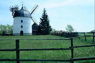 Blick auf die Turmwindmühle, vorn Koppel