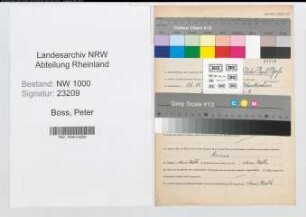 Entnazifizierung Peter Boss, geb. 15.11.1894 (Lehrer)
