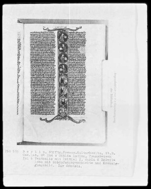 Biblia latina — Initiale I, darin 8 Medaillons mit Schöpfungsgeschichte und Kreuzigung, Folio 6recto