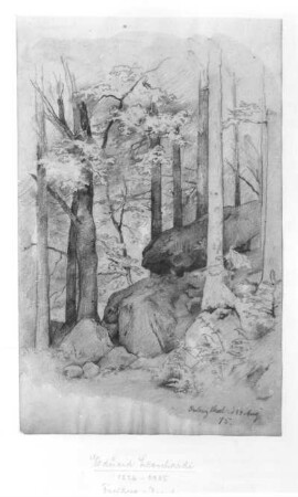 Waldlandschaft : Waldlandschaft. Bleistiftzeichnung; 20,1 x 12,3 cm (1875; E. Leonhardi). Freiberg: Stadt- und Bergbaumuseum 58/118