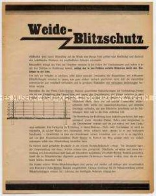Weide-Blitzschutz