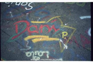 Dani P.