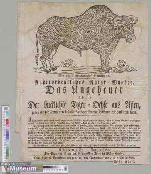 Außerordentliches Natur-Wunder