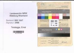 Entnazifizierung Ernst Terstegge , geb. 02.03.1892 (Angestellter)