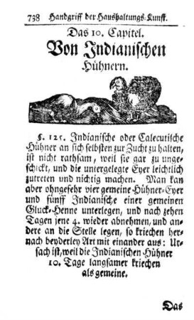 Das 10. Capitel. Von Indianischen Hühnern.