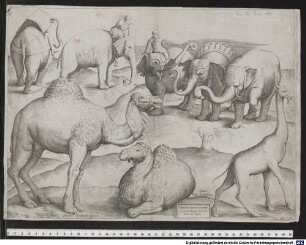 Tabula III animalium ex uetustissimis picturis Romae tractorum Formis Ant. Lafrery.