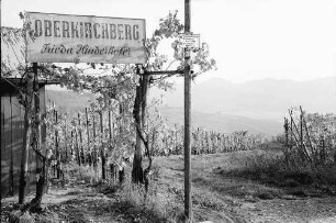 Ehrenstetten: Ehrenstetter Ölberg; Schild "Oberkirchberg Frieda Hinderhofer"