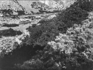 Moräne : Eine Verwerfung durchschneidet eine Moräne in der Nähe des Little Cottonwood Creek