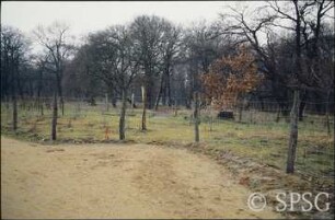 Potsdam, Park Sacrow, Wegeinmündung in den östlichen Uferweg.