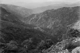 Landschaft : Blick über die mit Macchie und Zedern bewachsenen Gebirgshänge in Richtung eines Dorfes der Kabylen