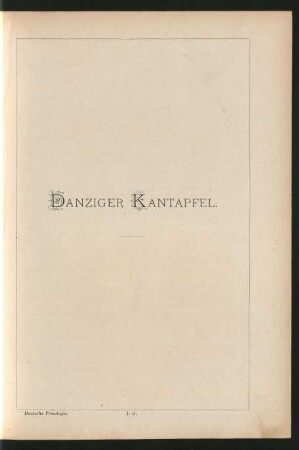 I. 17. Danziger Kantapfel