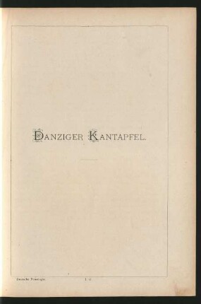 I. 17. Danziger Kantapfel