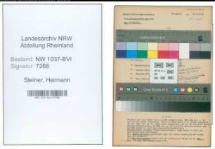 Entnazifizierung Hermann Steiner , geb. 11.02.1913 (Handlungsgehilfe)