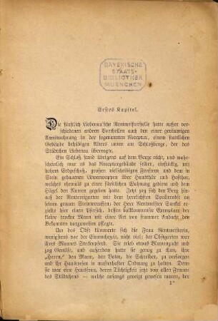 Der Bergrath : Roman von Sophie Junghans, 4