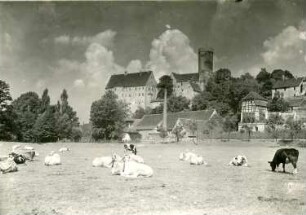 Kohren-Salis-Gnandstein. Burg Gnandstein (1201/1230). Blick über eine Kuhweide