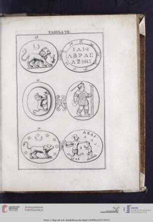Capvt V: Tabvla VII. VIII.