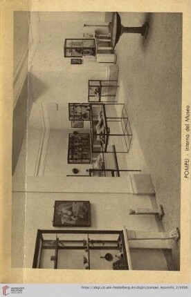 Pompei – Interno del Museo – Musee – Museum – Museum – Museo