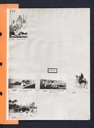 Albumblatt 7 mit Angebotsserie "Tripolis sowie Sahara""