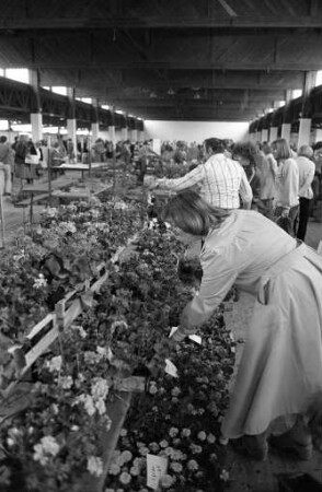 12. Karlsruher Geranienmarkt des Verbands badischer Gartenbaubetriebe in der Oststadthalle