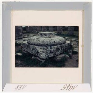 Paestum: Basilika, Säulenbasis (Foto 1965)