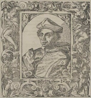 Bildnis des Francesco Alidosi