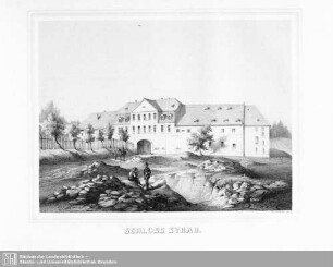 Syrau