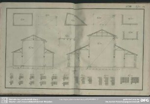 Tab. XIII. Fig. 223-239