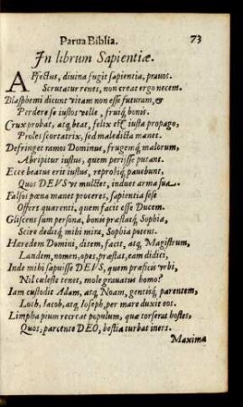 In librum Sapientiae.
