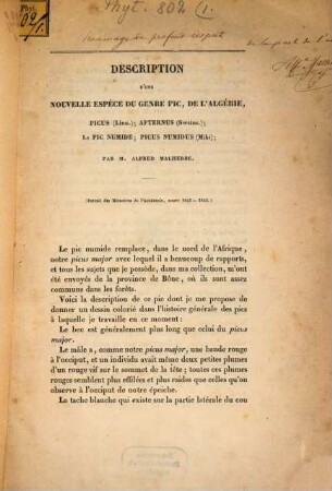 Description d'une nouvelle espèce du genre Fic, de l'Algérie