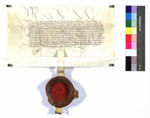 König Maximilian I. erklärt, dass er der Stadt Ulm die liegenden Güter der Juden unter der Bedingung überlassen habe, dass sie zu allen Quatembern in allen reformierten Mannsklöstern ehrliche und löbliche Begängnisse während seines Lebens und nach seinem Tod anstellen sollen.