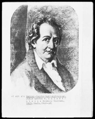 Bildnis Goethes