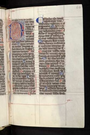 Zierinitiale (Psalm 109): D(ominus domino meo)