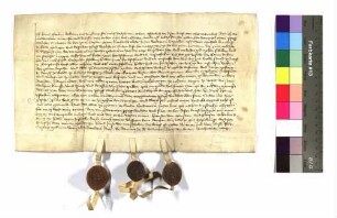 Hans Eisenhut (Ysenhut) bekundet: Er verkaufte an Walter Seiboth (Sybot), Kaplan am Leonhardsaltar in der Veldnerinkapelle auf dem Michaelskirchhof, um 32 Gulden rheinisch Gülten aus zwei Gütern und einem Weinberg zu Rückertshausen (Riggershusen), 1. Vorinhaber: Klaus Bender, jetziger Inhaber: Engelhart; Gült: 10 Schilling Heller, 1 Scheffel Roggen, 6 Viertel Hafer, 2 Herbsthühner, 1 Fastnachtshuhn - Dienst, Hauptrecht; 2. Inhaber: Heinz Beheim; Gült: 16 Schilling Heller, 2 Herbsthühner, 1 Fastnachtshuhn, Dienst, Hauptrecht; 3. Inhaberin: Else Beheim; Gült: 1 Schilling Heller, 1 Herbsthuhn.