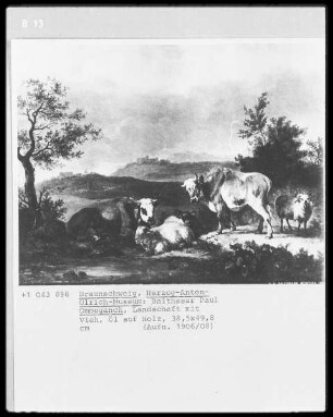 Landschaft mit Vieh