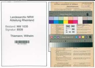 Entnazifizierung Wilhelm Thiemann , geb. 08.01.1899 (Maschinist)