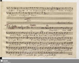 724 Duetto: La Meschina vostra Sposa / Naumann, J.G.