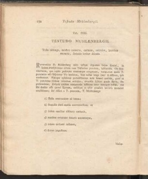 Tab. XXXI: Testudo Muhlenbergii