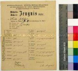 Michaelis-Zeugnis der Städtischen Mädchen-Bürgerschule in Friedeberg Neumark mit dem Lehrplan für höhere Mädchenschulen