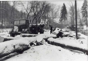 Allee,. Erneuerung der Allee, Fällen der Linden im Januar 1964,. teilweise ist alles schneebedeckt,. Detailaufnahmen von den gefällten Linden