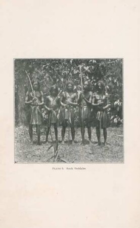 Plate 8. Rock Veddahs