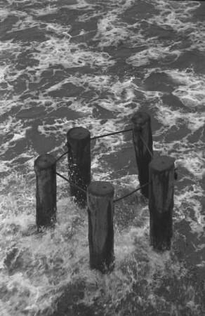 Ohne Titel