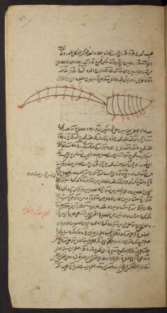 Illustration: f. 49r-49v