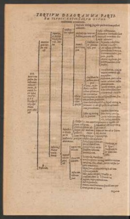 Tertium Diagramma Partium Trunci Externarum Enumerationem continens.